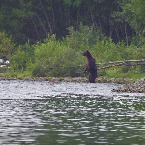 Photo #11808597