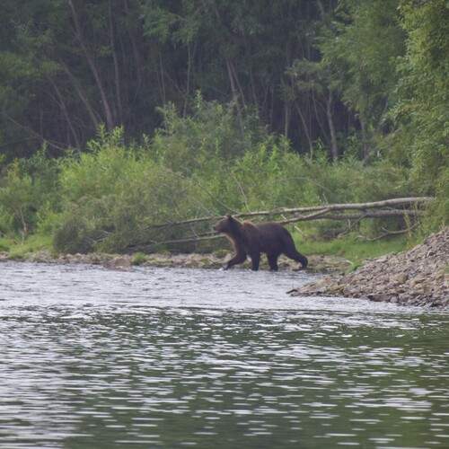 Photo #11808600