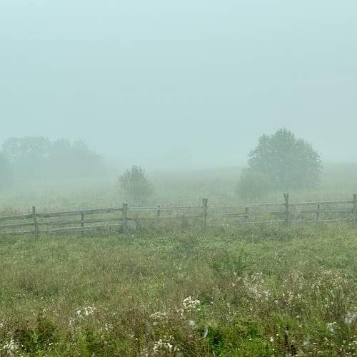 Photo #11808867