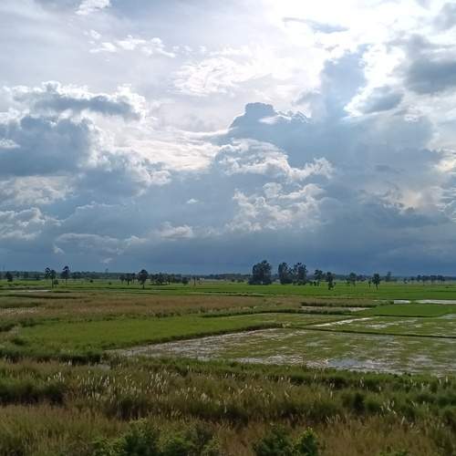 Photo #11808877