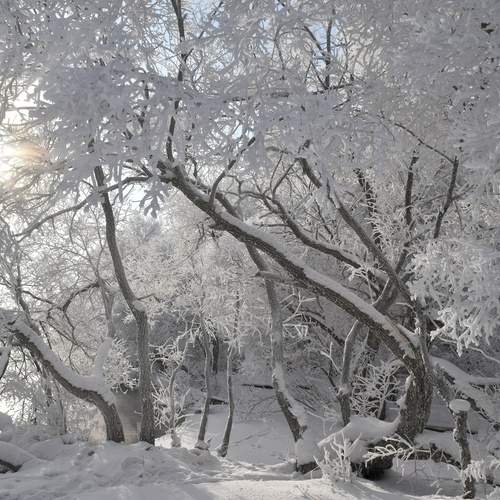 Photo #11808881