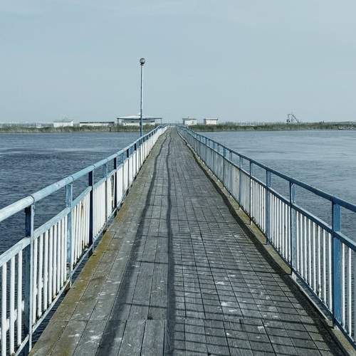 Photo #11808889