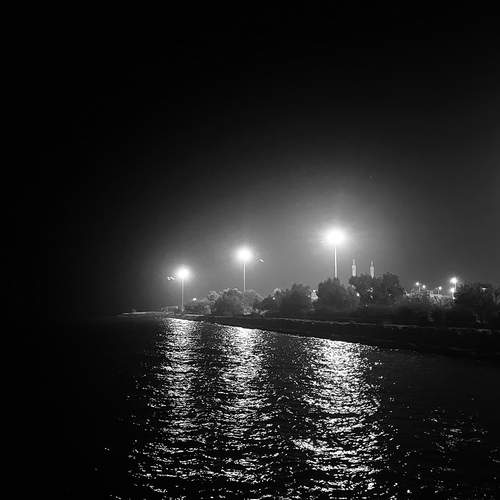 Photo #11809072