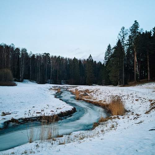Photo #11809297
