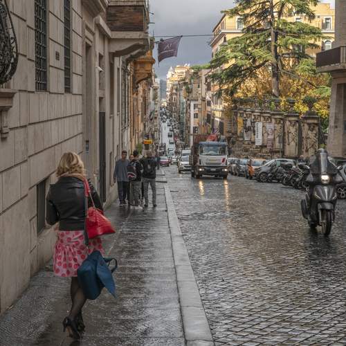 Photo #11809319