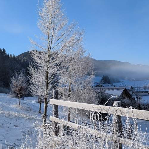 Photo #11809442