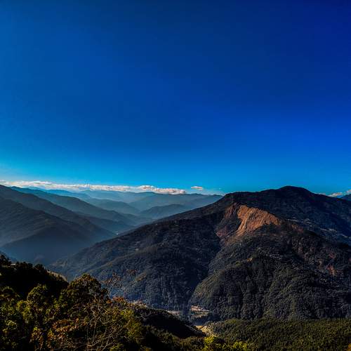 Photo #11809549