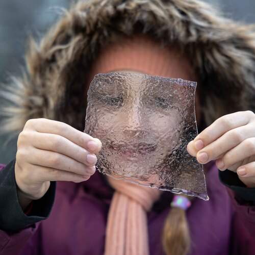 Портрет через пластинку из льда