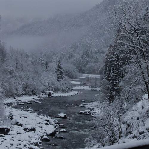 Photo #11809652