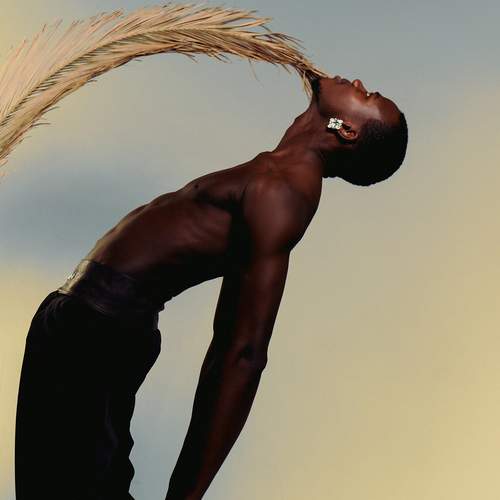 Photo #11809671