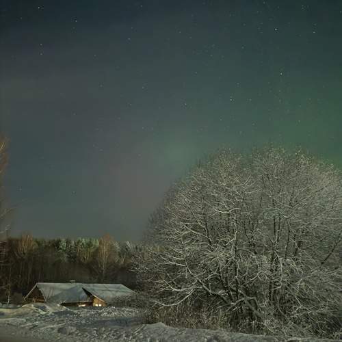 Photo #11809794