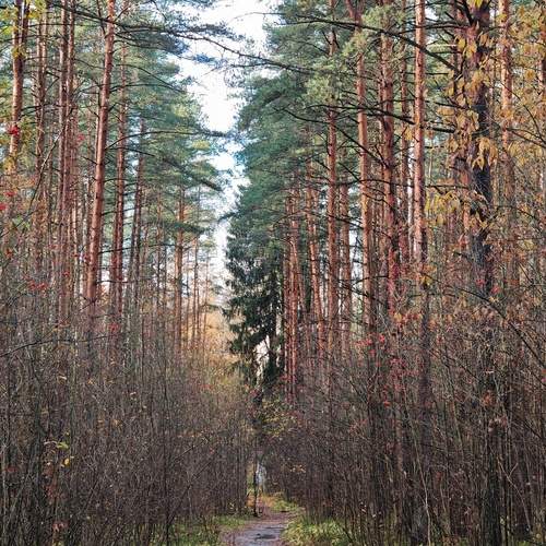 Photo #11810042