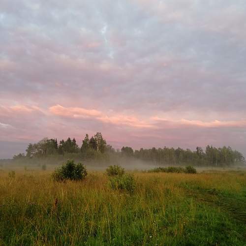 Photo #11810181