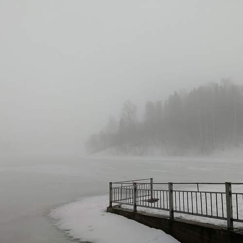 Photo #11810303