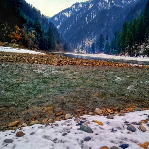 Photo #11810488