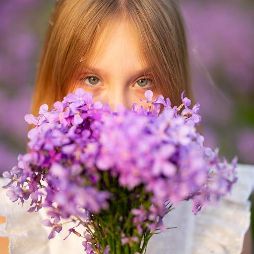 Photo #11810500