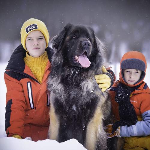 Photo #11810644