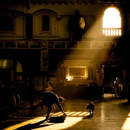 Photo #11810681