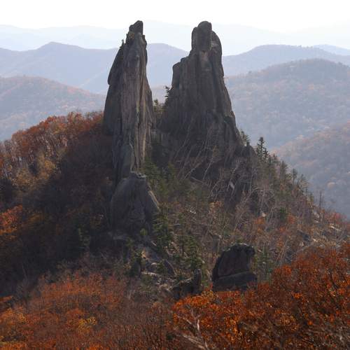 Photo #11810744
