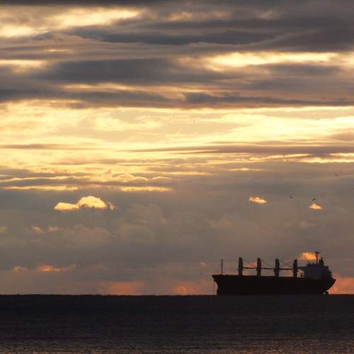 Photo #11810861
