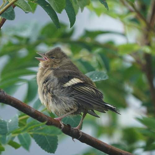 Photo #11810871