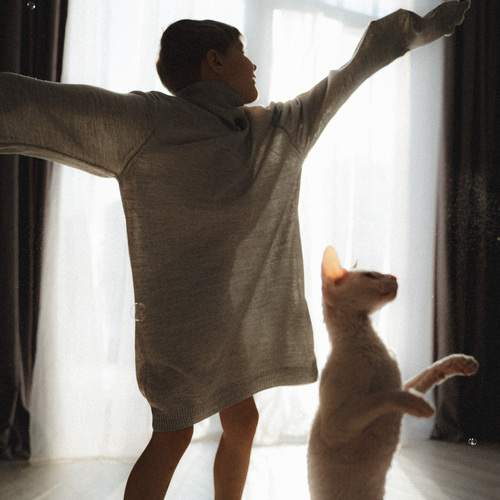 Photo #11810952