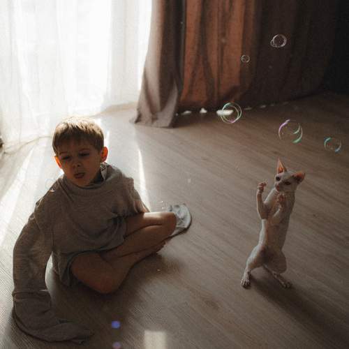 Photo #11810985
