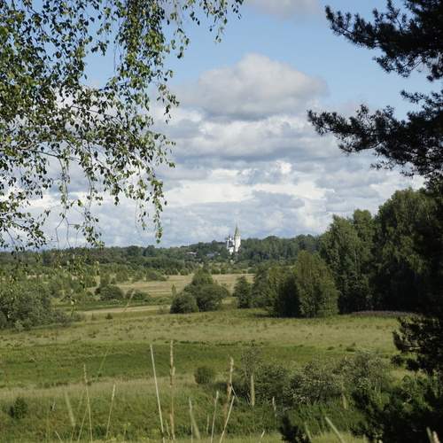 Photo #11811269