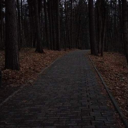 Photo #11811297