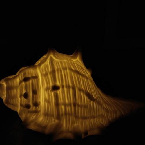 Photo #11811365
