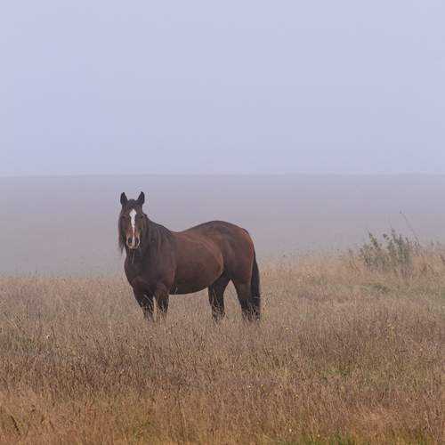 Photo #11811396