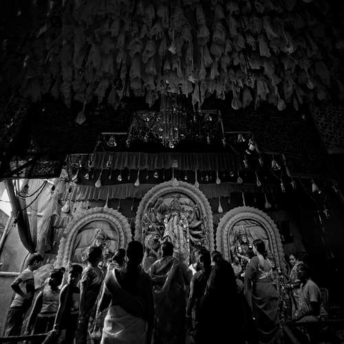 Photo #11811467