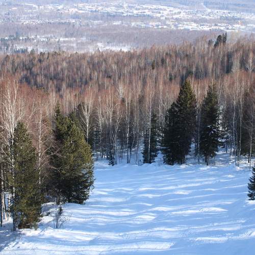 Photo #11811469