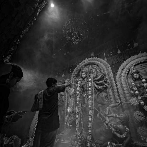Photo #11811474