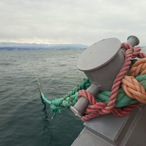 Photo #11811549