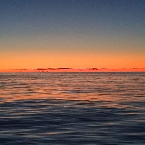 Photo #11811564