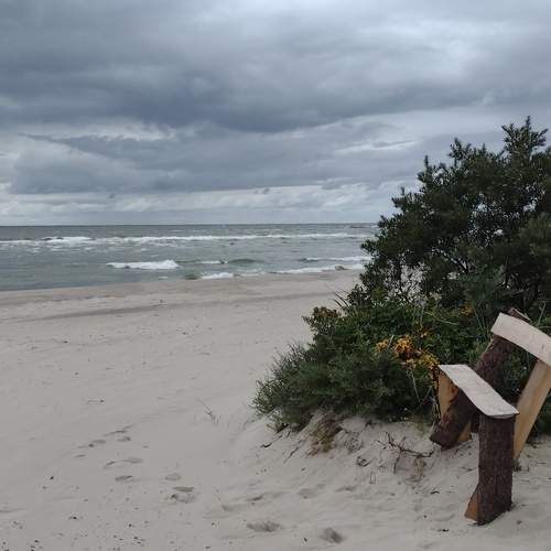 Photo #11811578