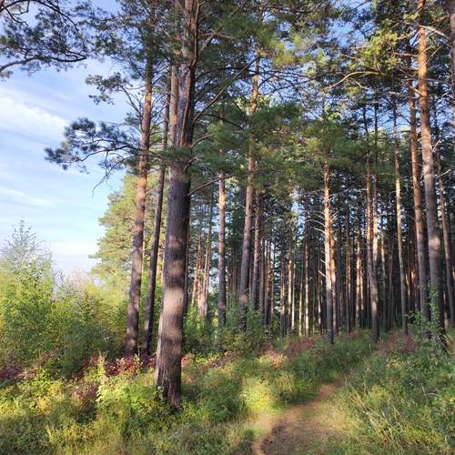 Photo #11811622