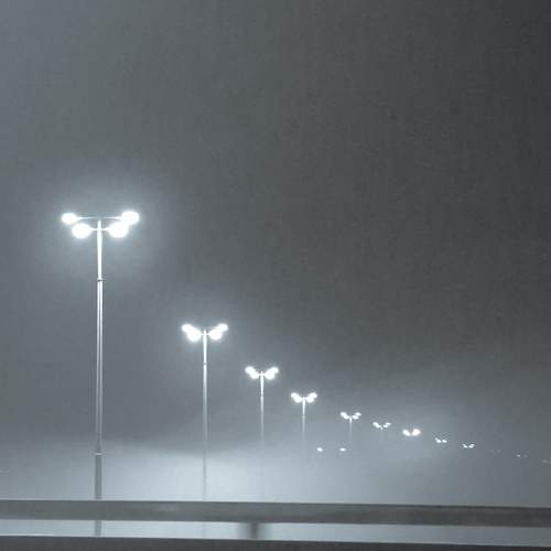 Photo #11811667