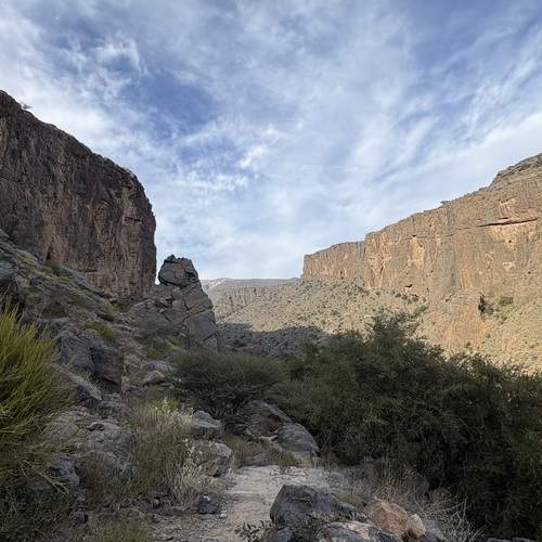 Photo #11811700