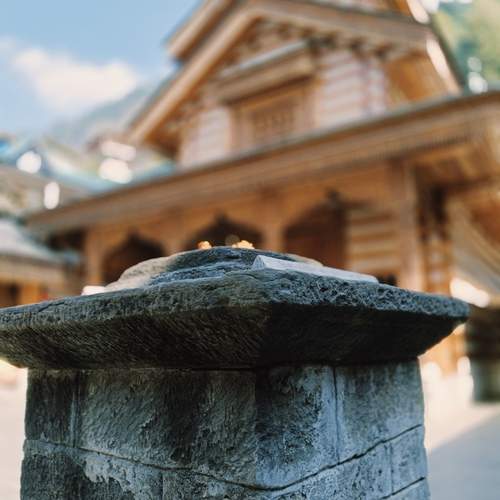 Photo #11811814
