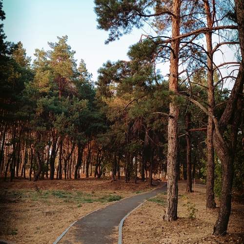 Photo #11811862