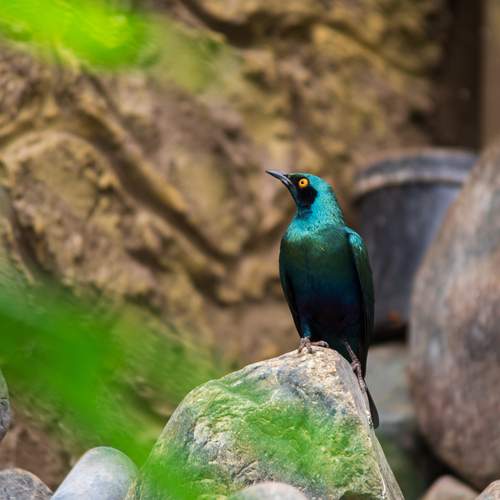 Photo #11811865