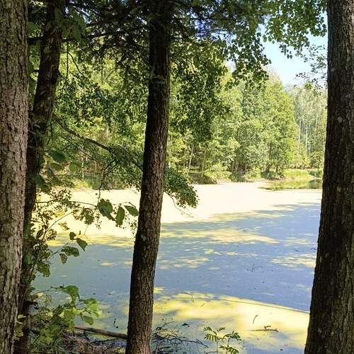 Photo #11811885