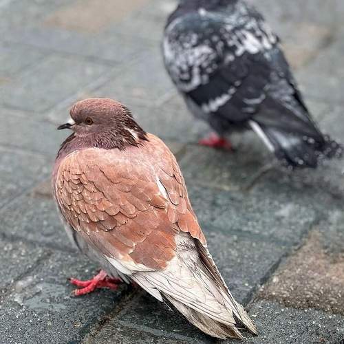 Photo #11811969