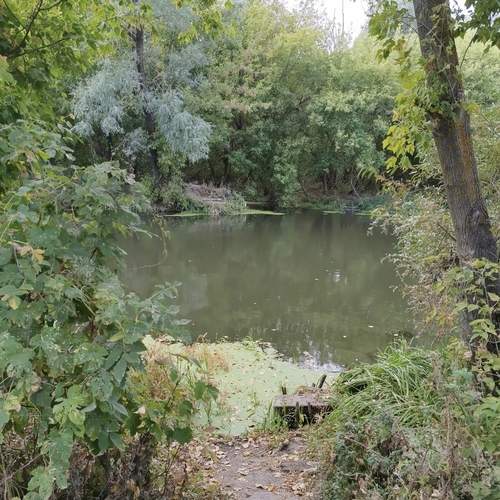 Photo #11811977
