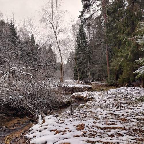 Photo #11812296