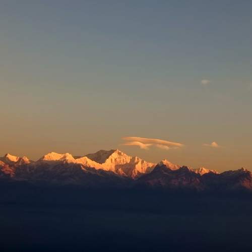 Photo #11812321