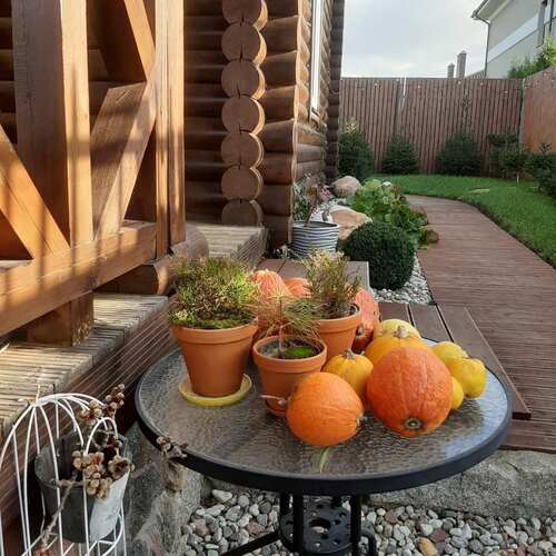 Photo #11812337
