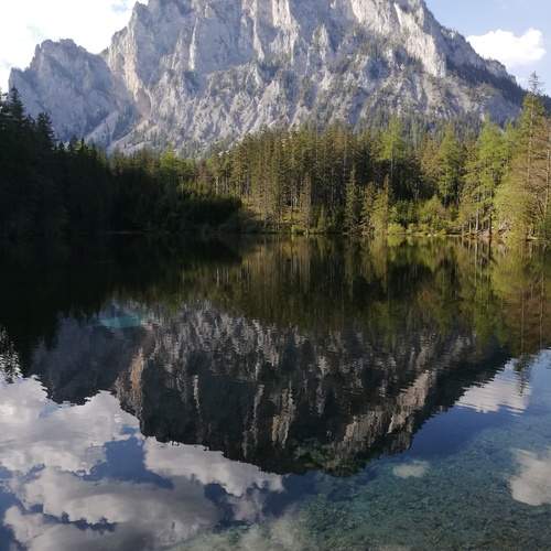 Photo #11812405